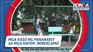 Ronda Probinsya: Mga kaso ng pananakit sa mga hayop, inireklamo