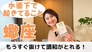 【蠍座】もうすぐ暗闇から抜け出して自ら光を切り開いていく✨｜癒しの占いで運勢をみる