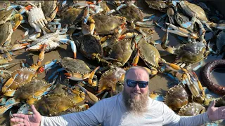 BLUE CRAB Catch, Clean, Cooks! | 2hr Crabbing Compilation ￼