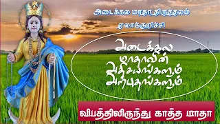 Miracle Witness -10 | Saved from Severe Injuries ( Accident) | Adaikala Madha Shrine | Elakurichi