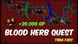 Jak Szybko Zarobić 20k GP | Blood Herb Quest | Tibia FACC
