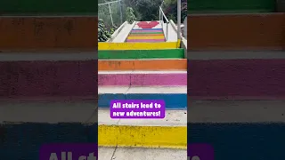 Silver Lake’s Hidden Stairs | Math Walks | PBS SoCal