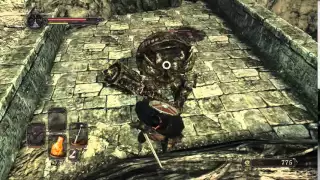 Dark Souls 2 Fail