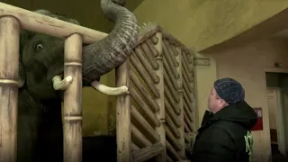 Unbekannte Helfer bringen Zootiere aus der Ukraine nach Polen