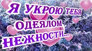 Я укрою тебя одеялом нежности... Засыпай, Любимочка!