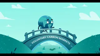 The Importance of the Voluntary Carbon Market