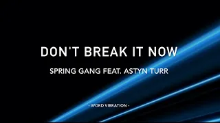 Spring Gang - Don't Break It Now Ft. Astyn Turr - Lyrics