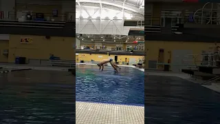 Painful Diving Fail