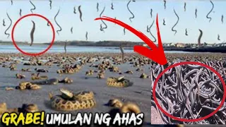 GRABE! UMULAN pala talaga ng AHAS | IBAT IBANG KLASE NG PAG ULAN NA DI MO PANIWALAAN  | AGNUSPROJECT