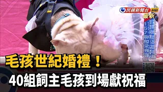 毛孩世紀婚禮! 40組飼主毛孩到場獻祝福－民視新聞