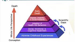 Native Connections Approach Series - Part 5: Adverse Childhood Experiences (ACEs)