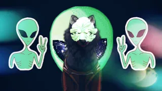 Alien time/meme 👽 WildCraft [LykaVeter]