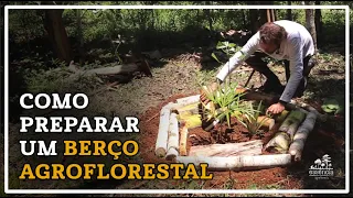 Os segredos para cultivar um berço agroflorestal produtivo