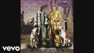 Alexis & Fido - El Tiburón (Cover Audio Video)