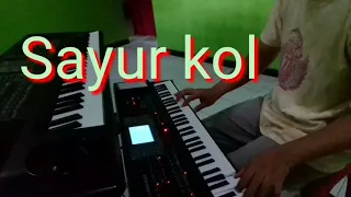 Sayur Kol SKA Piano Cover KORG MICROARRANGER