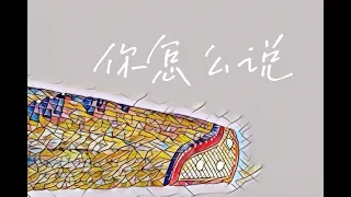 古箏彈奏《你怎麼說》鄧麗君