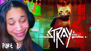 GOING ON A ADVENTURE AS A CAT!! | STRAY - Part 1