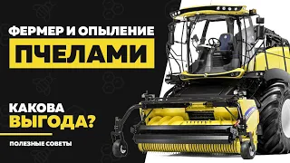 Почему фермеру выгодно опылять посевы? Опыляем поля пчелами