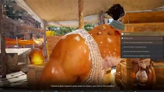 Black Desert online.энциклопедия коллекций Дэви 5!