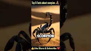 Top 5 Facts about scorpion 🦂 | Fact | Mind blowing facts | Facts Shorts | #shorts #facts