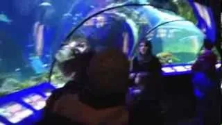 SeaLife Aquarium Munich , Germany  "walkthrough"