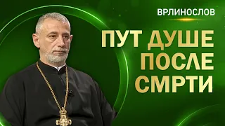 Врлинослов - Пут душе после смрти, протојереј-ставрофор проф. др Владимир Ступар #tvhram