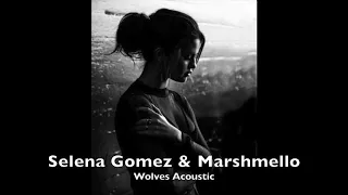 Marshmello & Selena Gomez - Wolves (Acoustic Version)