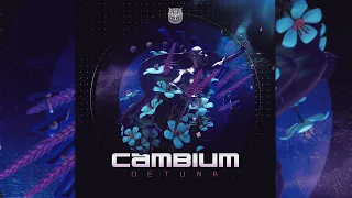 Cambium - Detuna