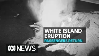 New Zealand volcano tragedy cruise ship Ovation of the Seas arrives back in Sydney | ABC News