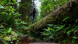 Hiking The West Coast Trail In 5 Days Solo