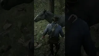 ГДЕ НАЙТИ САМЫХ РЕДКИХ ЛОШАДЕЙ В RDR2 #shorts