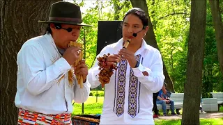 Polaquita. Музыка индейцев. Inty «Pakarina» & «Ecuador Indians».