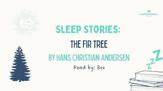 The Fir Tree Sleep Story by Hans Christian Andersen and Read by Bex Spiller