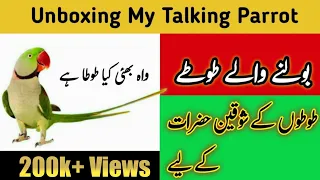 Talking Parrot Video in Urdu/Hindi | Pets4u - 2021