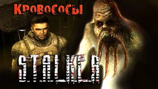 STALKER Зов Припяти ☢ КОВЧЕГ НОЯ! КРОВОСОСЫ НАПАЛИ НА МЕНЯ! Прохождение игры Сталкер