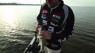 Tips for Fishing a Carolina Rig for Big Bass