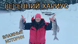 Весенняя рыбалка на хариуса в респ. Коми. Таежная изба и быт! Снегоход тайга выдержал испытания!