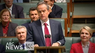 In full: Bill Shorten's budget reply speech