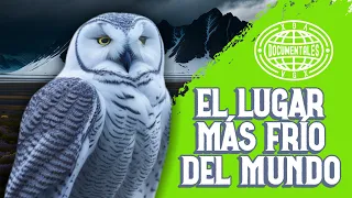 El Lugar más Frio del mundo - Documental completo español