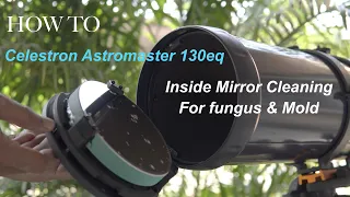 Celestron Astromaster 130eq - INSIDE MIRROR CLEANING FROM FUNGUS & MOLD