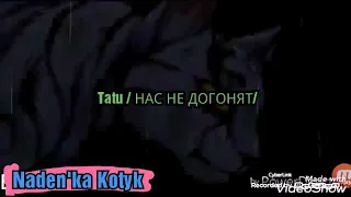 ♡/Клип Коты Воители / ♡ Tatu - Нас не догонят./