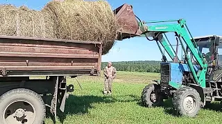 съездили на покос за сеном😁