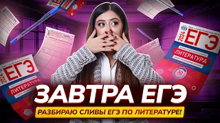 Завтра ЕГЭ — Разбор сливов. Что нужно изучить?