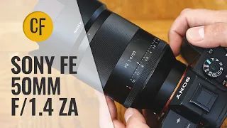 Sony FE 50mm f/1.4 ZA lens review with samples (Full-frame & APS-C)