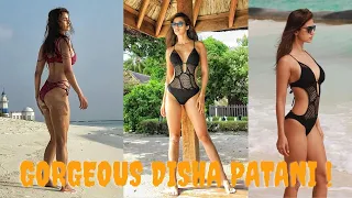 Disha Patani Compilation | Latest HD | Rahul Siloth