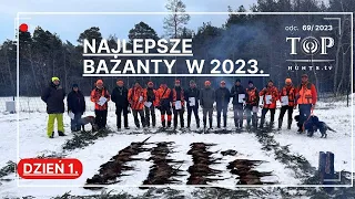 Najlepsze polowanie na bażanty w tym sezonie! Mnóstwo akcji spod psów!