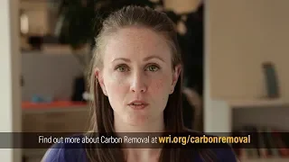 Explainer: What is Carbon Removal?