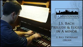 Bach: Prelude and Fugue in A minor BWV 543 - Bigi Ewerhart | La Mantovana