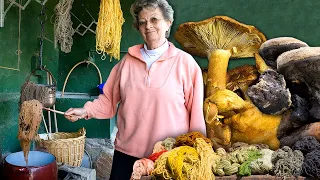 Use of DYEING MUSHROOMS AND FUNGI to extract natural colors and dye fabrics | Documentary film