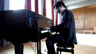 Theme from Love Story (Where Do I Begin?) Piano Cover Francis Lai HD